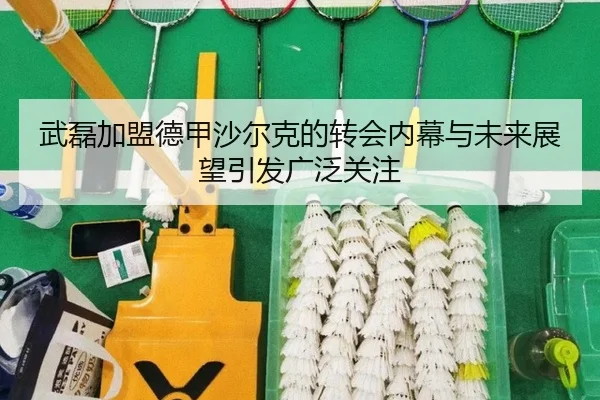 武磊加盟德甲沙尔克的转会内幕与未来展望引发广泛关注