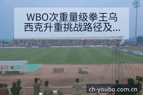 WBO次重量级拳王乌西克升重挑战路径及技术风格解析 - 友博体育