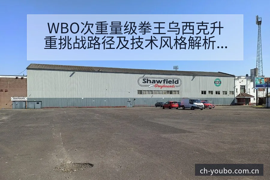 WBO次重量级拳王乌西克升重挑战路径及技术风格解析 - 友博体育